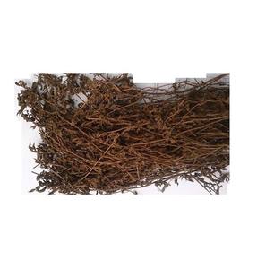 Feuilles de gelée d'herbe séchée/Mesona Chinensis du Vietnam - Product Image 2