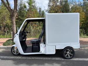 Certificat CEE Tricycle électrique 3000W avec batterie au plomb 60v 100AH vitesse maximale 45 km/h Tricycle électrique sur route - Product Image 4