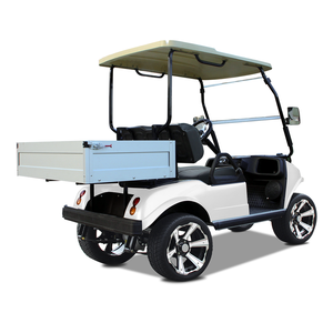 HDK EVOLUTION-Scooters eléctricos, vehículo utilitario de nuevo diseño, carrito de golf eléctrico con batería de litio de 48V y <span class=keywords><strong>caja</strong></span> de carga - Product Image 3
