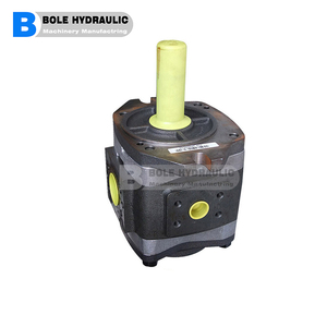 Pompe à pistons radiaux hydrauliques D951-2103/G D953-2125/D D957-0023/G D952-2131/B D953-2125/B D957-5009/B D953 D951 D957 - Product Image 2