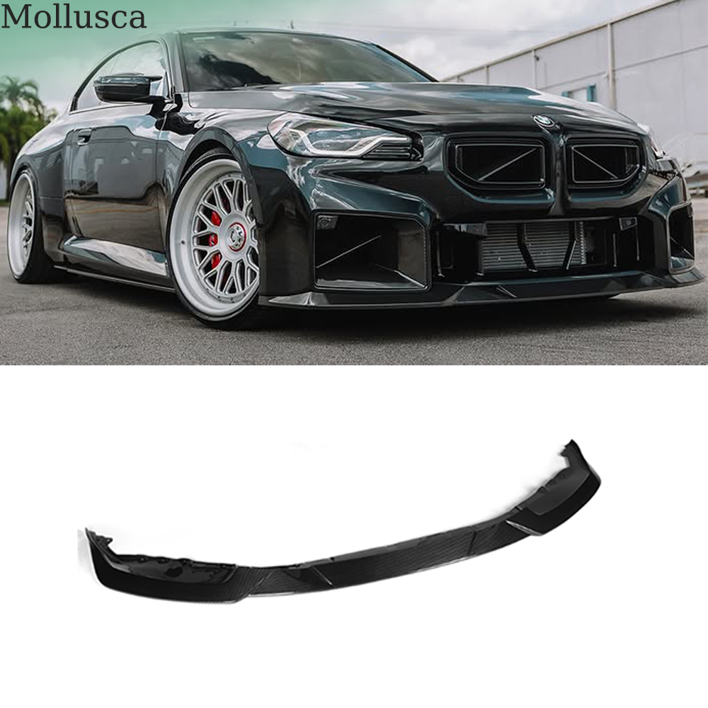 Labio delantero de carbono seco