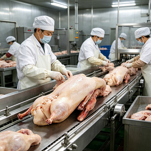 Pato de Pekín Congelado Pre-sazonado al por Mayor, Embrio de Pato Entero para Asar, Halal, OEM para Negocios de Catering - Product Image 2