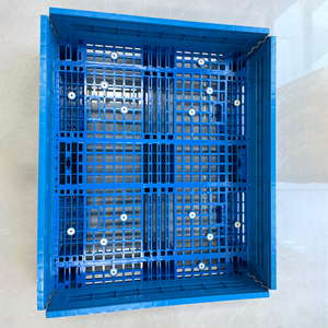 Palet <span class=keywords><strong>de</strong></span> Plástico <span class=keywords><strong>de</strong></span> <span class=keywords><strong>Polipropileno</strong></span> 100% Reciclado con Collar para la Industria <span class=keywords><strong>de</strong></span> Manufactura, Comercio y Logística <span class=keywords><strong>de</strong></span> Electrónica - Product Image 6