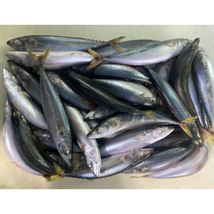 Sardinas Enteras Congeladas a Granel, <span class=keywords><strong>Precio</strong></span> por Tonelada, 100-200g, Proveedor de Paquetes de Cartón de Tamaño Fresco al por Mayor - Product Image 2