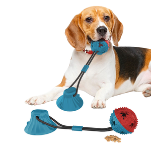 Juguete Masticable Interactivo para Mascotas con Ventosa y Cuerda Elástica - Product Image 2