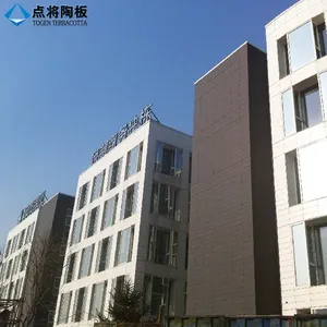 Togen Easy Installation Ventilated Facade Grey Terracotta Panel Residential Curtain Wall Cladding