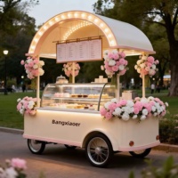 Chariot à glaces personnalisé avec auvent LED, chariot mobile commercial pour desserts, chariot de vente pour mariage, centre commercial, exposition