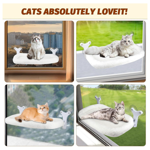 Moderne Comfortabele Plastic Kat Vensterbank Baars Opvouwbaar Raam Opknoping Bed Drie Zuignappen Kleine Huisdier Hangmat - Product Image 5