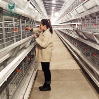 HIGHTOP H Type Fermé Ferme De Volaille Système Automatique Complet Batterie Cage De Poulet Pour Poules De Poules Pondeuses