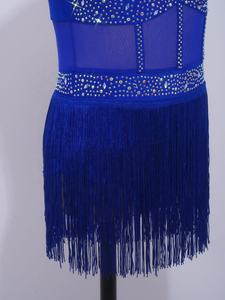 Traje de Danza Latina para Niñas de 6 a 16 Años, Vestido de Leotardo de una Pieza, Ropa de Danza para Competencias, Espectáculos, Baile de Salón y Danza Contemporánea - Product Image 4