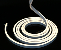 Tube LED flexible intelligent DC24V 48V Neon Flex Compatible Dali PWM Loxone KNX 2700-6500K Tunable White Façade Noen Strip