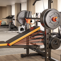 Banc de Musculation Multifonction avec Cadre de Presse, Poulie Haute, Kit Haltère et Rameur Pliable pour Salle de Sport à Domicile