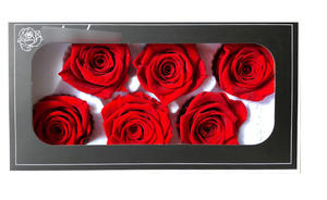 Fornitura diretta in fabbrica rose arcobaleno conservate all'ingrosso 5-6cm A grade <span class=keywords><strong>boutique</strong></span> - Product Image 4