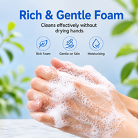 Tablettes de savon moussant pour les mains à base de plantes, tablettes de recharge de savon naturel pour les mains, formule douce, tablettes de savon dissolubles, tablettes de lavage des mains