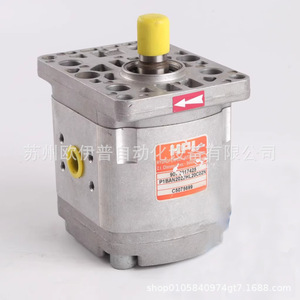 Pompe à engrenages haute pression Hpi P1BAN3050HL10B03N, pompe à huile hydraulique, usage industriel, arbre vertical - Product Image 2