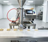 Machine à glaçage pour gâteaux en acier inoxydable 304, idéale pour le remplissage de crème pour biscuits et l'injection de garniture pour sandwichs, haute productivité