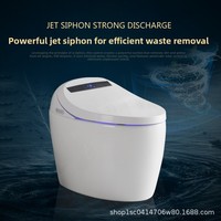 Projet d'exportation - Certification CE UE - Toilette intelligente à commande à distance en acier inoxydable, à poser au sol, entièrement automatique