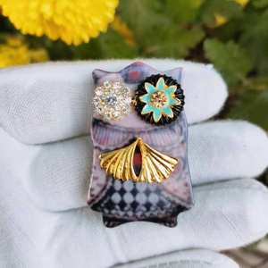 Prachtige Mode Gouden Kleur Strass Zirkoon Vliegtuig Vleermuis Kat Libel Broche Voor Vrouwen Bijwonen Banket Prom Dress Accessoires - Product Image 3