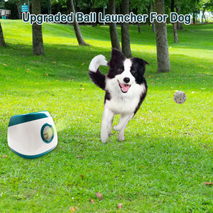 Yeni varış otomatik evcil hayvan topu başlatıcısı interaktif Fetch oyuncak köpekler için birden fazla renk aktif evcil hayvanlar için mükemmel - Product Image 5