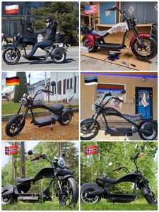 EU COC EEC US DOT Fett reifen Elektro roller Motorrad Citycoco Roller Fahrrad Für Erwachsene - Product Image 5