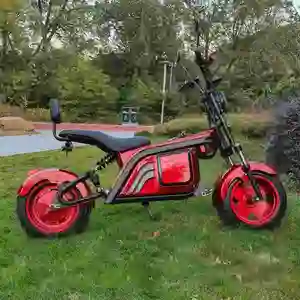 2000W חשמלי Trike Citycoco Harleystyle תלת אופן מטען אופני שומן צמיג 2 גלגל קורקינט חשמלי