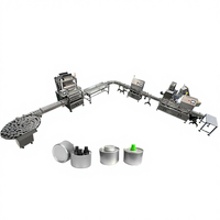 Machine de remplissage automatique de pâte liquide en fer blanc 200ml ligne de production d'eau au kérosène avec bouchon à vis à mèche pour usage chimique