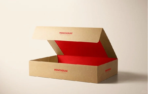 صندوق أحذية وصندوق تخزين مموج، منظم متين قابل للتكديس للخزانة، حاوية كرتونية مطبوعة بشعار مخصص - Product Image 2