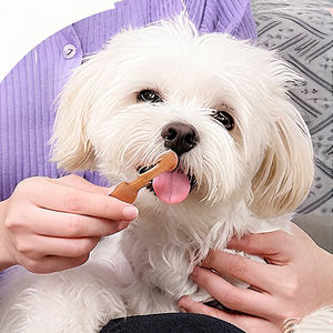 Pasta <span class=keywords><strong>de</strong></span> dientes <span class=keywords><strong>de</strong></span> silicona ecológica <span class=keywords><strong>para</strong></span> <span class=keywords><strong>perros</strong></span> y gatos, eficaz <span class=keywords><strong>para</strong></span> reducir <span class=keywords><strong>el</strong></span> mal <span class=keywords><strong>aliento</strong></span>, cálculo Dental, diente <span class=keywords><strong>de</strong></span> Mascota - Product Image 4