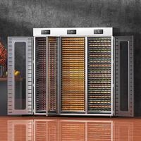 Deshidratador de Alimentos Industrial de Acero Inoxidable de Alta Calidad con 99 Bandejas, 220V, para Frutas, Verduras y Carne, con Función de Secado