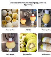 Fabrieksdirect verkochte fruitpelschilmachine voor mango's, appels, peren, citroenen, sinaasappels