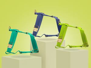 สายรัดอกสุนัขกันน้ำและกันน้ำกระเซ็น พร้อมคลิปหน้า/หลังและหัวเข็มขัดสีทอง - ของขวัญสำหรับสัตว์เลี้ยง - Product Image 6