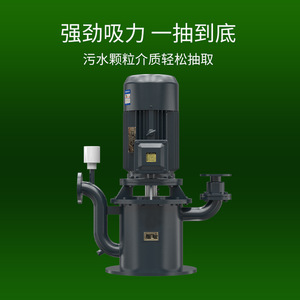 Wfb Seal Less Self Priming Pump Cast <b>Iron</b> Body High Flow High Head Electric Motor Sewage Pump - Product Image 1