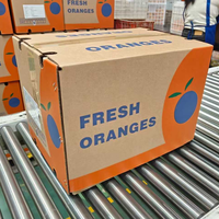 Oranges Navel Fraîches en Gros, Agrumes en Vrac à Bon Prix, Oranges Navel Fraîches de Chine