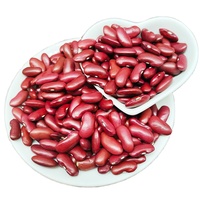 <strong>Best</strong> Factory Direct High Grade New British Dark <strong>Red</strong> Long Shape <strong>Kidney</strong> <strong>Beans</strong> Hot <strong>Selling</strong>