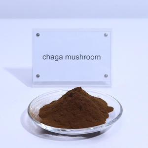 공장 공급 천연 차가 버섯 추출물 30% 다당류 분말 유기농 차가 버섯 분말 - Product Image 3