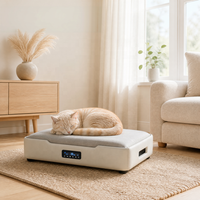 USMILEPET ODM OEM Haustier-Sofa Intelligentes Wasserzirkulations-Heiz- und Kühlsystem Temperaturgesteuertes Hunde- und Katzenbett Couch