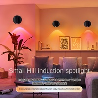 Lampu Dinding LED Sensor PIR Grosir Plastik Kreatif Isi Ulang Tanpa Bor Desain Samping Tempat Tidur Layanan Pemasangan Tersedia