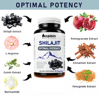 Gummies de Shilajit de l'Himalaya à Marque Blanche OEM, Acide Fulvique, Oligo-éléments, Végétaliennes, Sans Sucre, Complément Alimentaire pour Hommes et Femmes