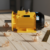 Moteur asynchrone triphasé IE5 YE5-160M-4 11 kW à haut rendement CE EAC, montage sur pied pour équipement industriel