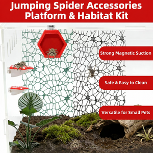 Set di 5 Pezzi Creativi Magnetici a Forma di Casa a Fungo Rossa per Terrario di Ragni Saltatori e Accessori per Piccoli Rettili - Product Image 3
