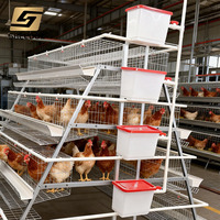 Nouvel équipement optimal pour l'élevage avicole : Cage en batterie pour poules pondeuses, pour l'élevage de poulets et la production d'œufs