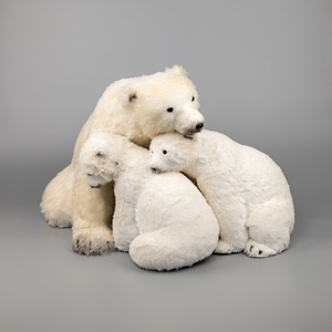 Schleich Polar Bear NUOBESTY 10pcs Miniature Polar Bear Animal Figurines Miniature Garden Polar Bear Ornaments