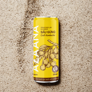 Kombucha น้ำขิงผลไม้แบบแห้งบรรจุภัณฑ์บรรจุในกล่องมีความสมดุลอย่างสมบูรณ์แบบเครื่องดื่มชารสชาติอร่อยได้รับการรับรองฮาลาล - Product Image 4