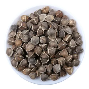 Alta qualidade natura loleifera secos compradores a granel preço moringa sementes para venda - Product Image 1