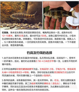 Petit bateau <span class=keywords><strong>de</strong></span> pêche Flotteurs <span class=keywords><strong>de</strong></span> grotte d'herbe Flotteurs <span class=keywords><strong>de</strong></span> tache <span class=keywords><strong>de</strong></span> pierre Flotteurs <span class=keywords><strong>de</strong></span> petit poisson Flotteurs <span class=keywords><strong>de</strong></span> gros ventre en mousse et matériau Eva Bouée - Product Image 6