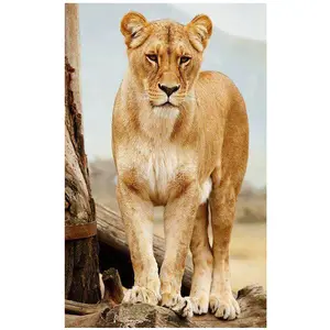 Peinture de diamant 5D à mosaïque d'animaux de <span class=keywords><strong>lion</strong></span>, outil de décoration de maison, vente en gros, - Product Image 1