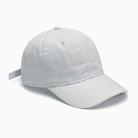 Gorra de Béisbol de 6 Paneles con Bordado a Mano en Terciopelo, Diseño Curvo en la Parte Trasera, Ajustable, Unisex, Personalizable, para las Cuatro Estaciones, Estilo Casual y Deportivo