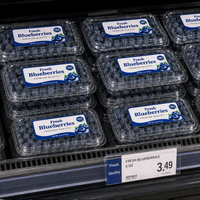 Op maat gemaakte voedselveilige wegwerp plastic aardbeienbakjes/bosbessen clamshell verpakkingen