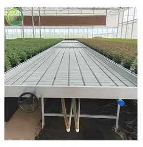 Factory Price Waterbed seedbed Nursery Bed Galvanized Welded Wire Mesh Steel Seedbed/seed plot Movable Rolling Bench