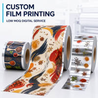 Service d'impression numérique personnalisée de films plastiques à faible MOQ pour assaisonnements, rouleaux laminés BOPP VMPET PE avec logo personnalisé